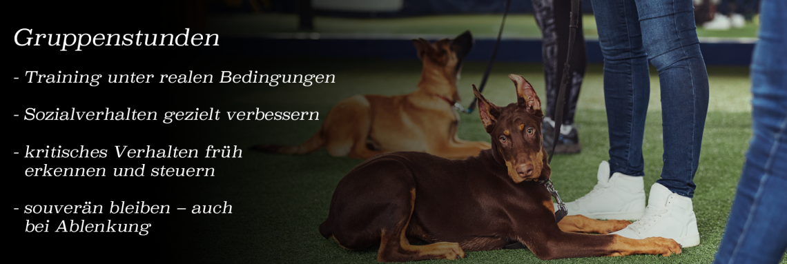 Gruppenstunden